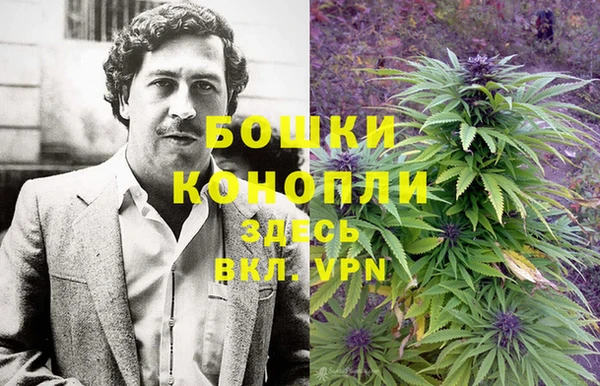 PSILOCYBIN Алексеевка