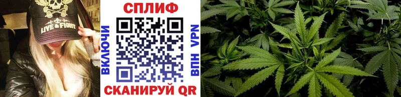 Каннабис MAZAR гидра вход Пугачёв цены наркотик